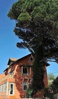 The House Of The She-pine-tree Lejlighed *