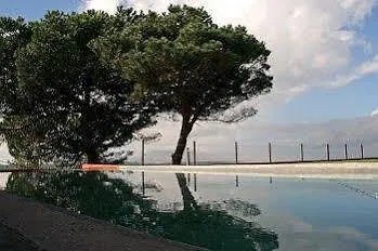 Lejlighed The House Of The She-pine-tree Almargem