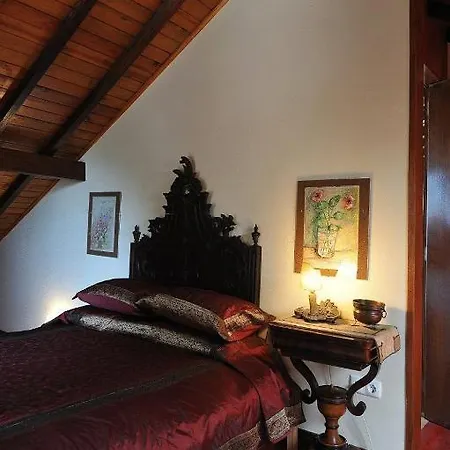 The House Of The She-pine-tree Lejlighed *